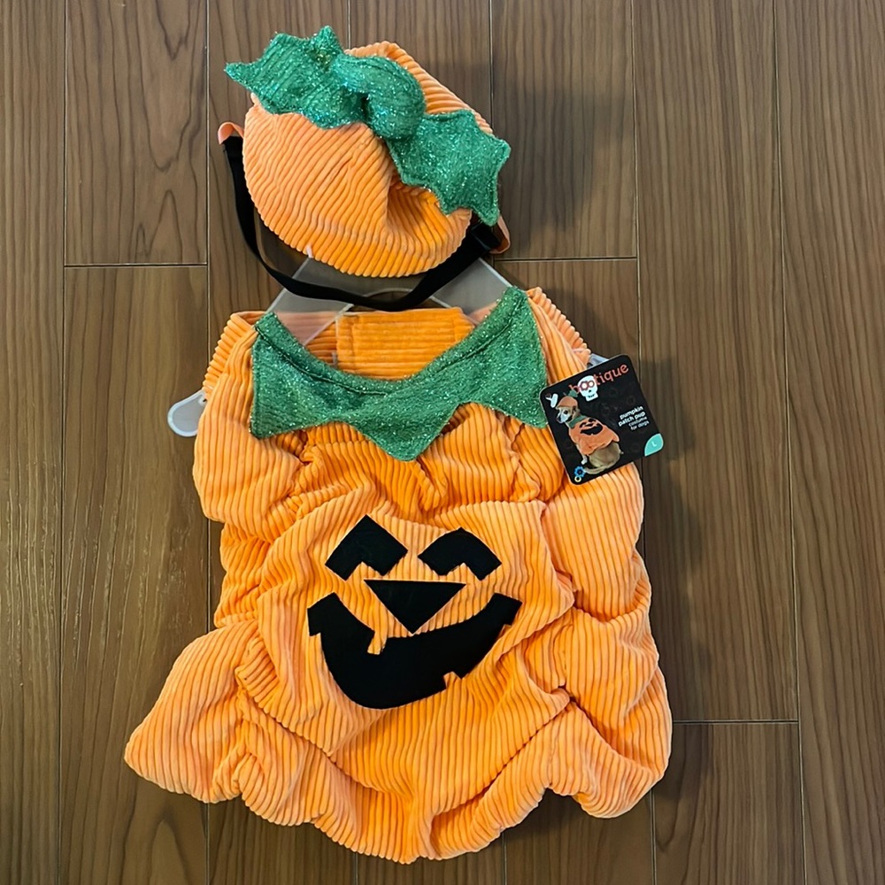 Pumpkin Patch Halloween Costume for dogs